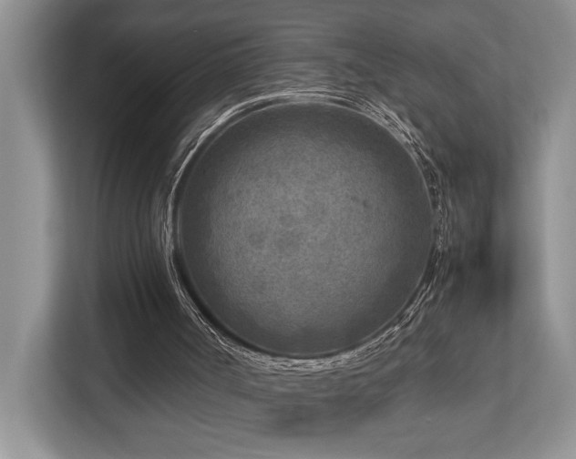 X0000112730002200908201335