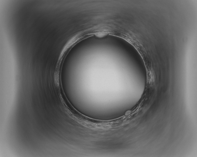 X0000112730004200908201335