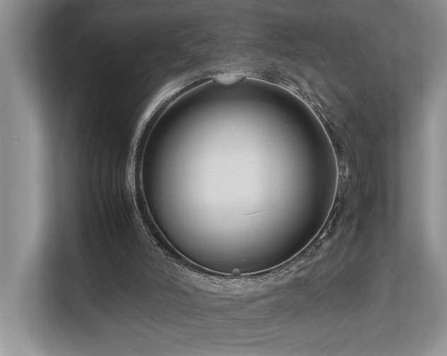 X0000112730006200908201335