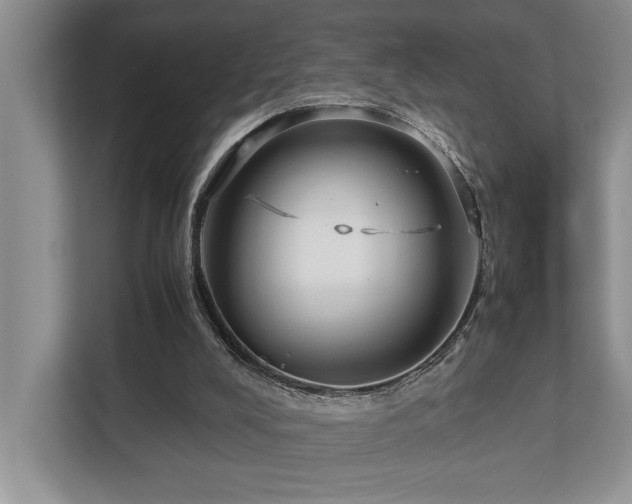 X0000112730008200908201335