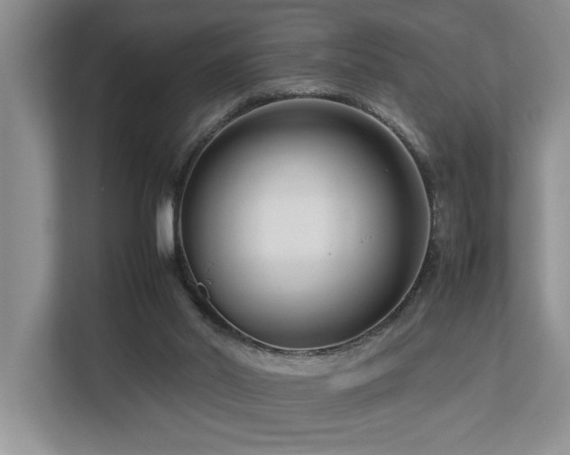 X0000112730014200908201335