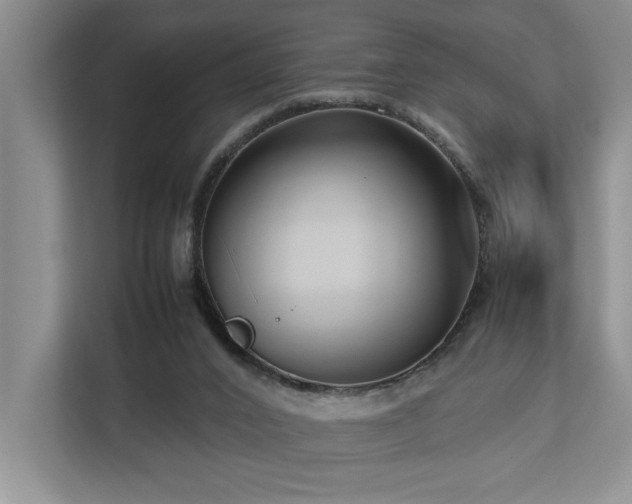 X0000112730016200908201335