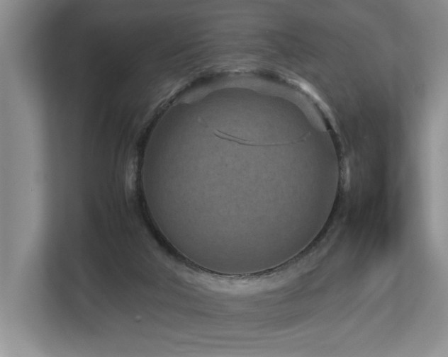 X0000112730018200908201335