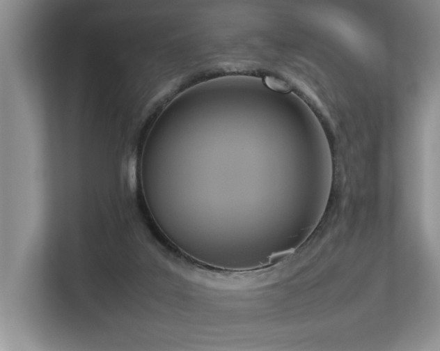 X0000112730019200908201335