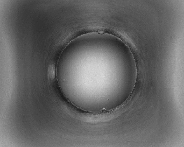 X0000112730021200908201335