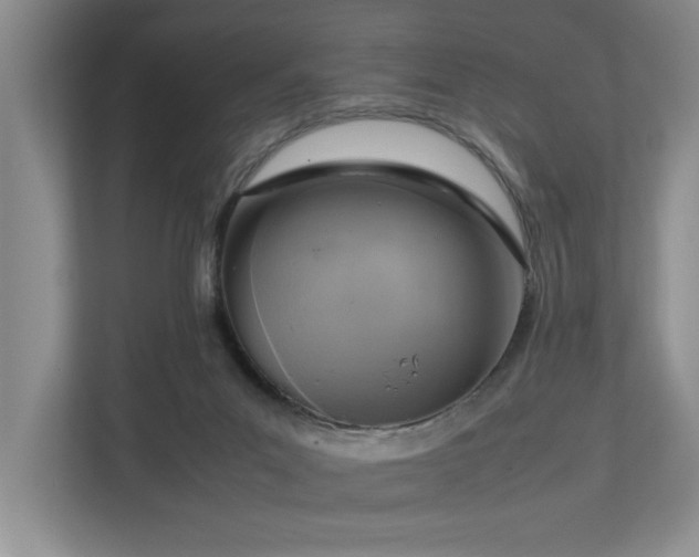 X0000112730023200908201335