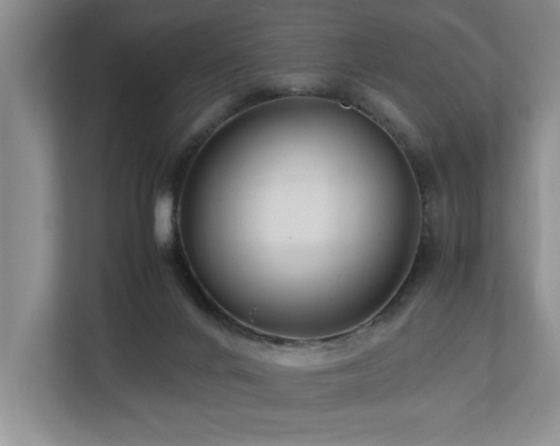 X0000112730024200908201335