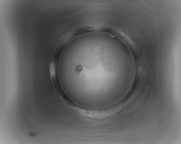 X0000112730026200908201335