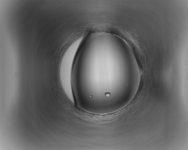 X0000112730027200908201335