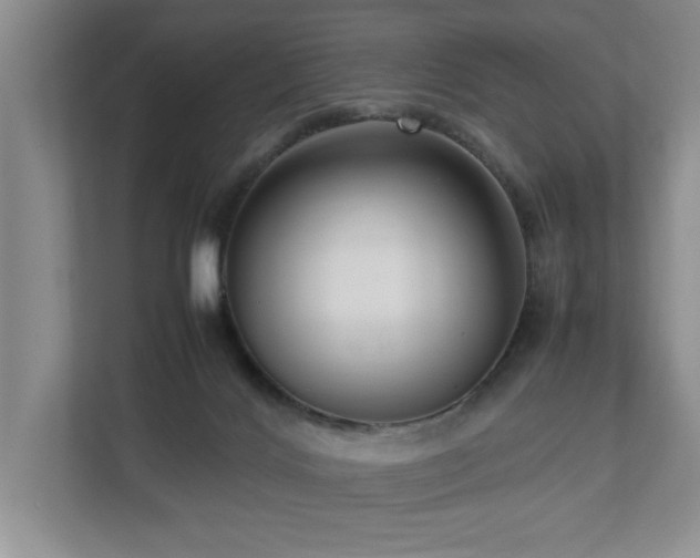 X0000112730028200908201335