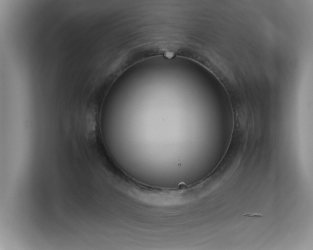 X0000112730032200908201335