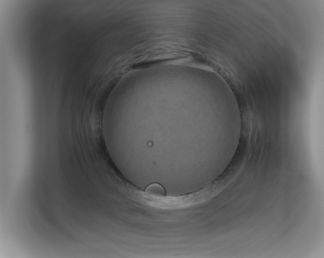 X0000112730034200908201335