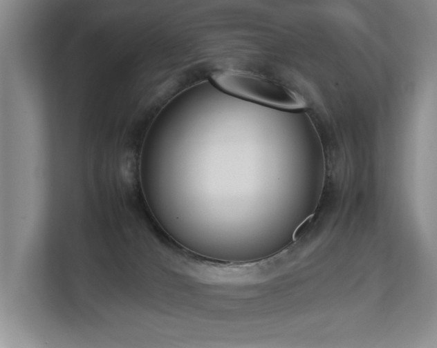 X0000112730036200908201335