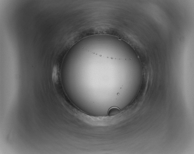 X0000112730038200908201335