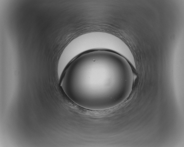 X0000112730041200908201335