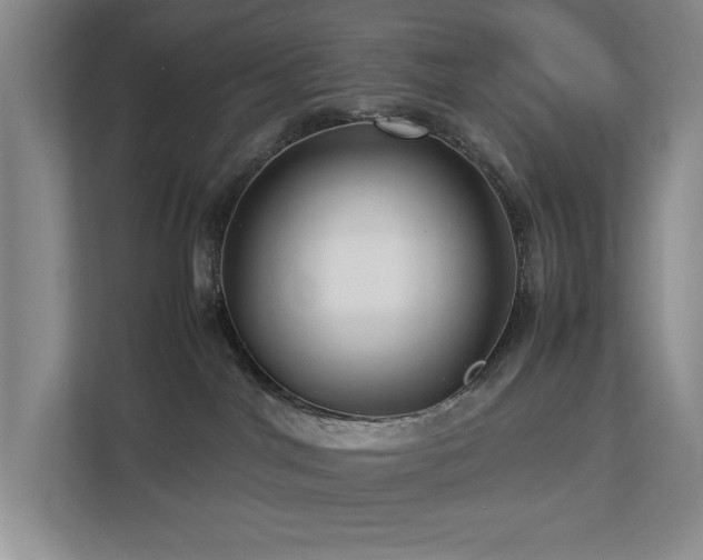 X0000112730044200908201335