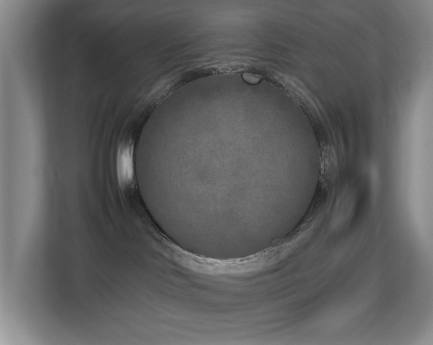 X0000112730046200908201335