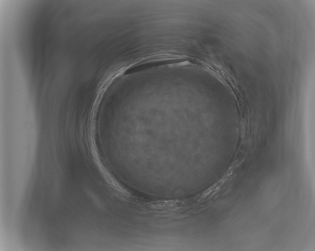 X0000112730049200908201334