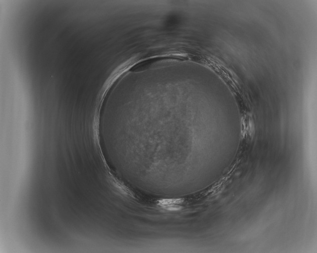 X0000112730051200908201334