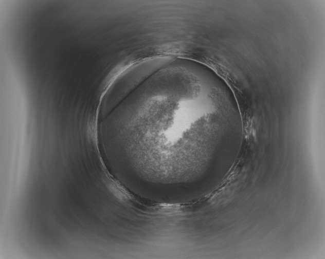 X0000112730052200908201334