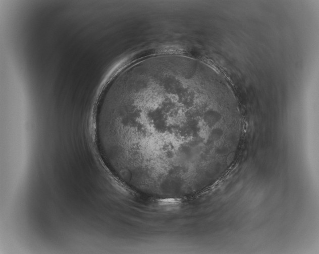 X0000112730053200908201334