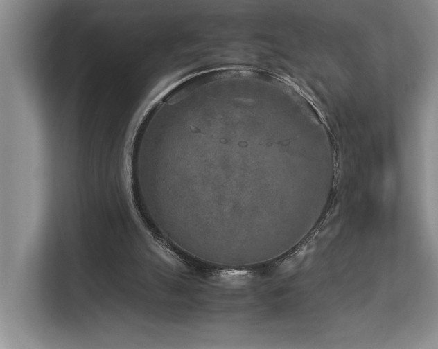 X0000112730055200908201334