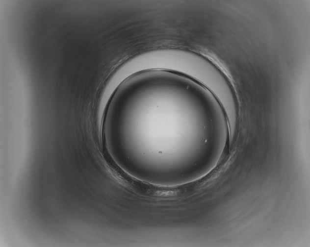 X0000112730057200908201334