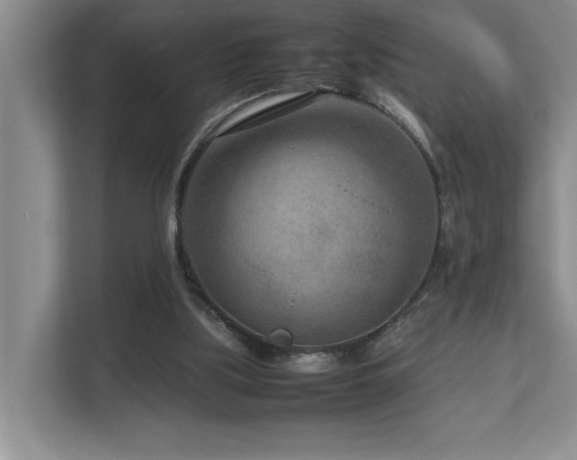 X0000112730059200908201334