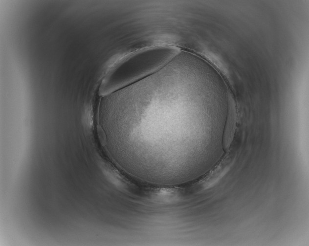 X0000112730060200908201334