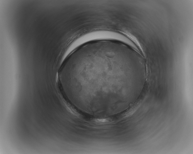 X0000112730061200908201334