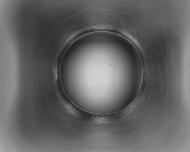 X0000112730062200908201334