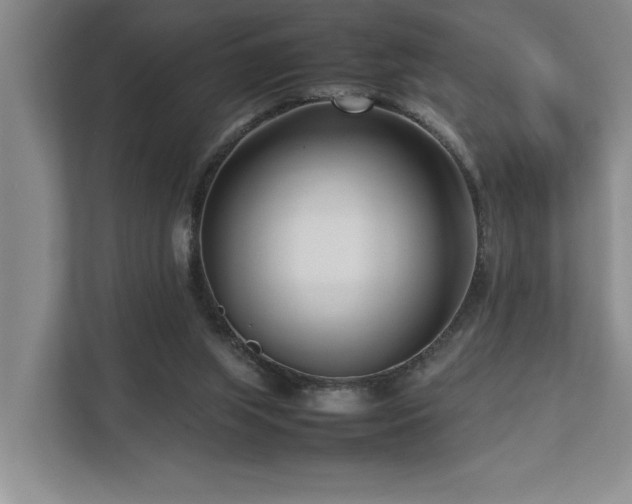 X0000112730063200908201334