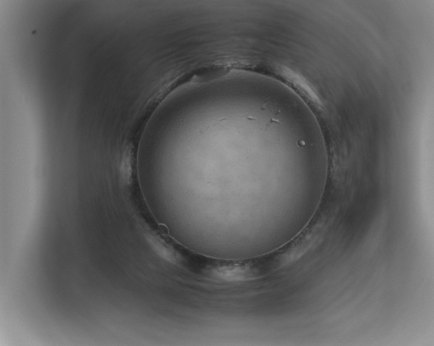 X0000112730065200908201334