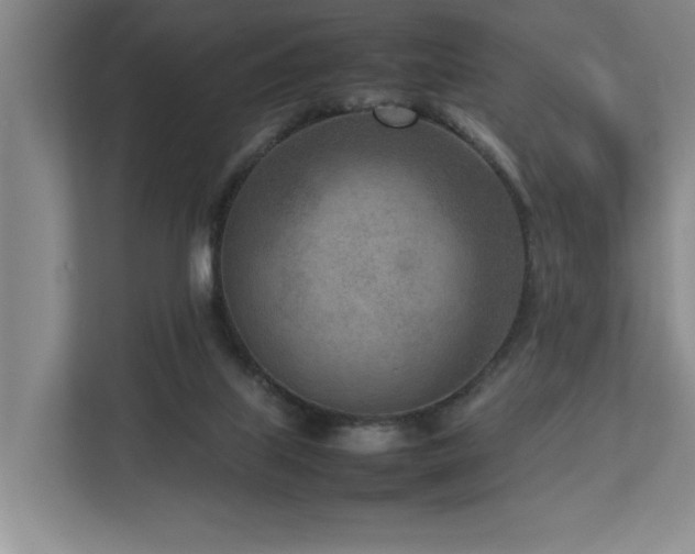 X0000112730067200908201334