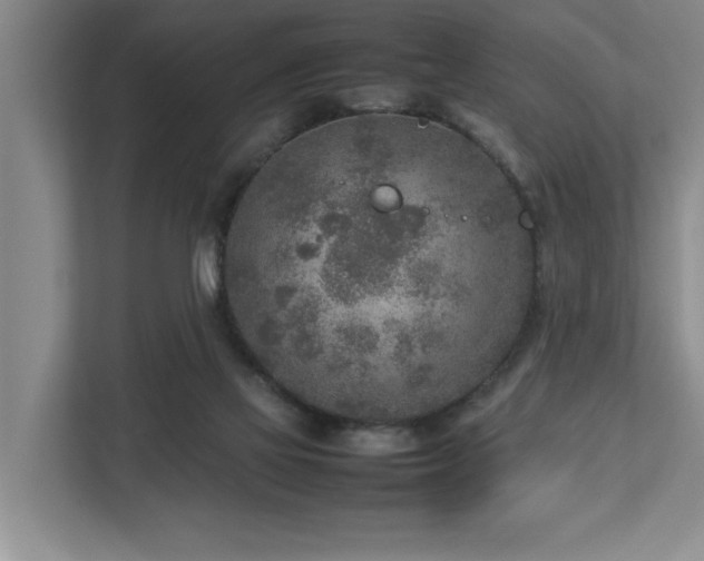 X0000112730069200908201334