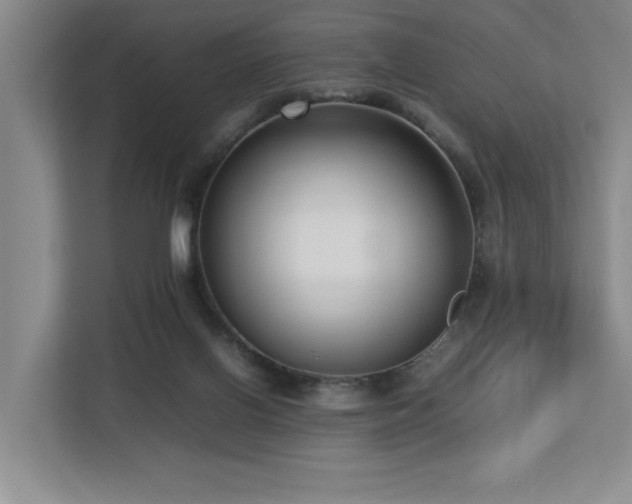 X0000112730070200908201334