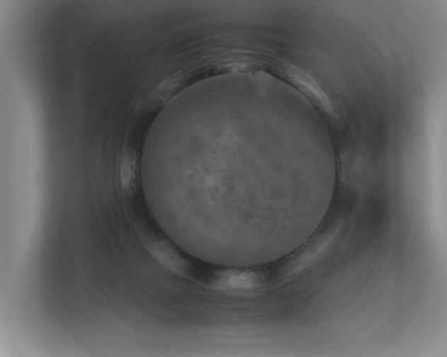 X0000112730073200908201334