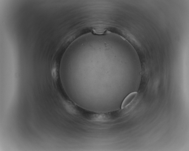 X0000112730074200908201334