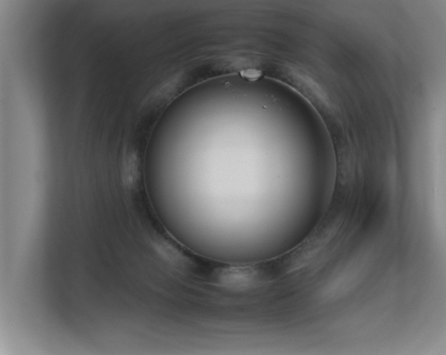 X0000112730077200908201335