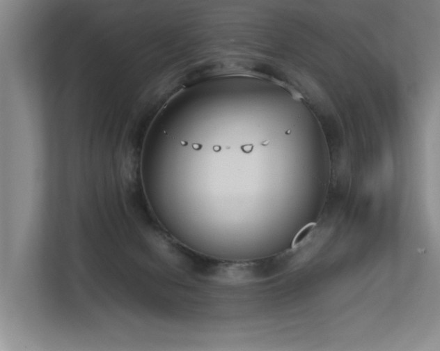 X0000112730078200908201335