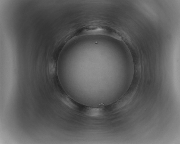 X0000112730081200908201335