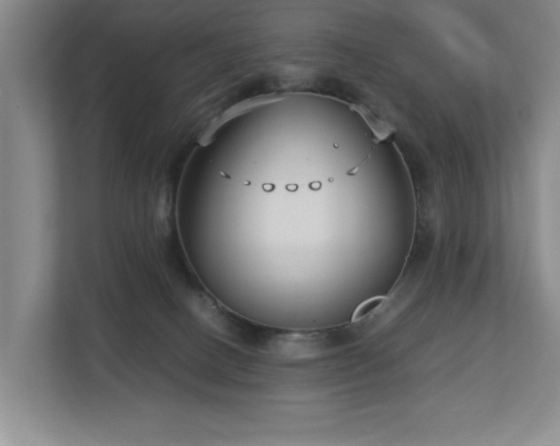 X0000112730082200908201335