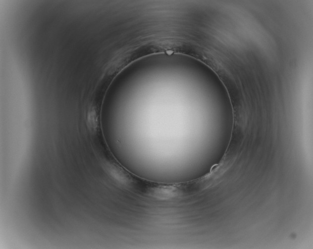 X0000112730086200908201335