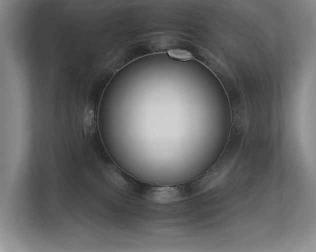 X0000112730087200908201335