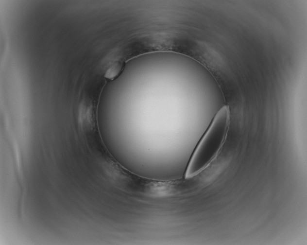 X0000112730088200908201335