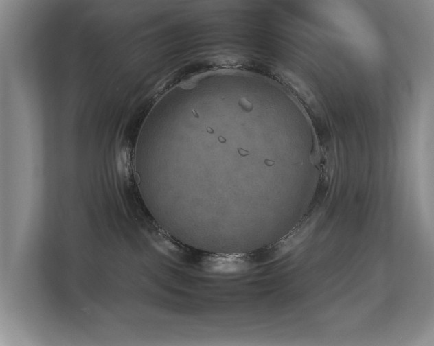 X0000112730093200908201335