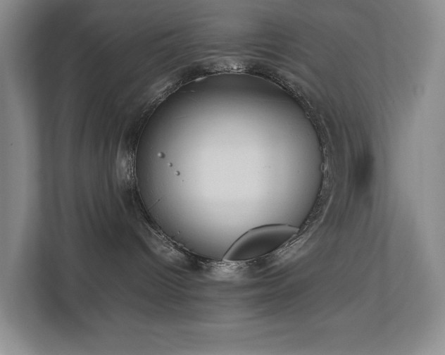 X0000112730096200908201335