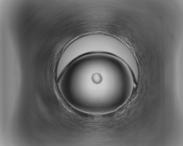 X0000112730097200908201334