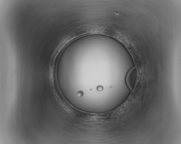 X0000112730098200908201334