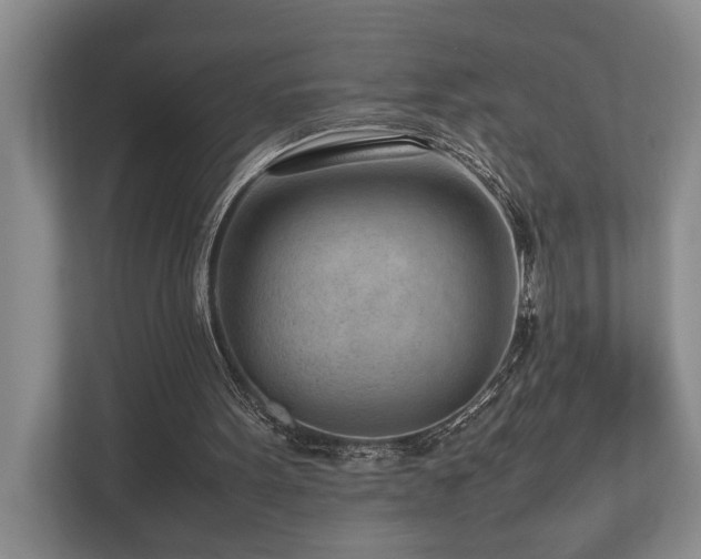 X0000112730099200908201334